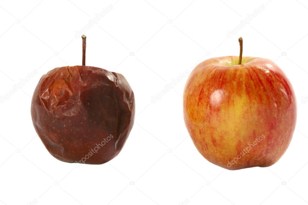 Rotten apple and fresh apple