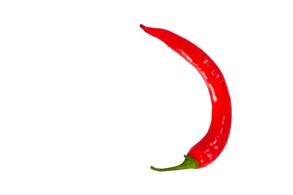 Rød chili-pepper på hvit bakgrunn – stockfoto