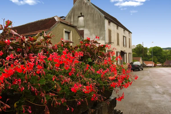 Del av gaten med blomster i forgrunnen, Burgund, Fra – stockfoto