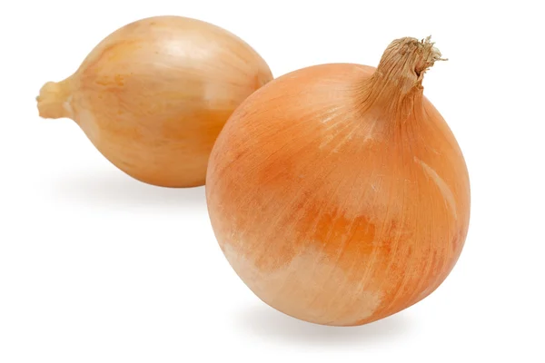 stock image Fresh onion isolated on white