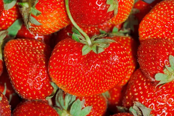 Frische reife perfekte Erdbeeren Vollrahmen Hintergrund Stockbild