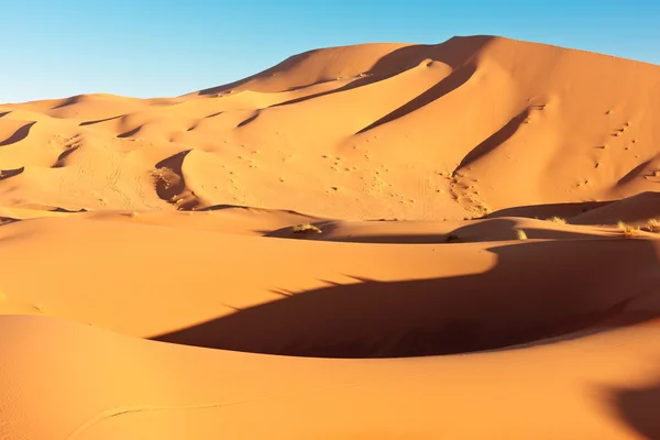 Dune di sabbia e cielo blu — Foto Stock
