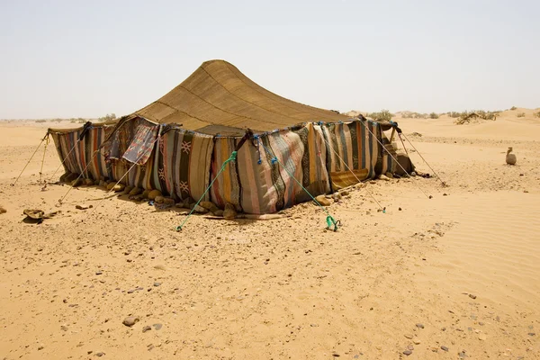 사막 캠프 — 스톡 사진