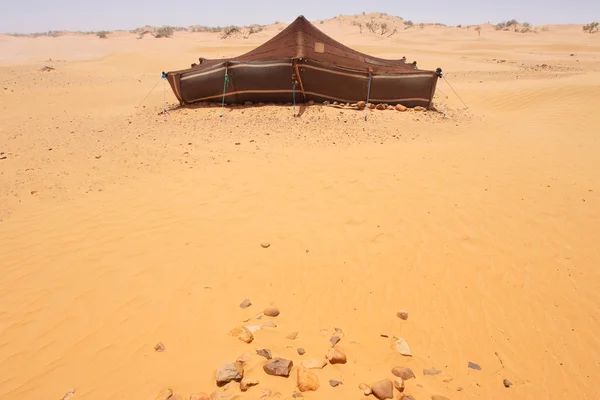 사막 캠프 — 스톡 사진