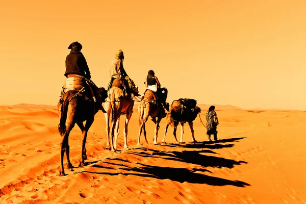 사하라 사막에 있는 낙타 행렬 스톡 사진