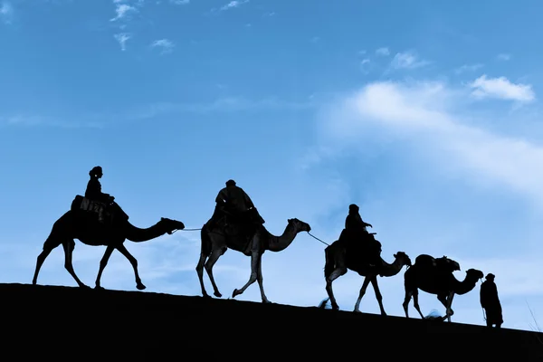 Σιλουέτα του καμήλα τροχόσπιτο στην έρημο Σαχάρα Royalty Free Φωτογραφίες Αρχείου