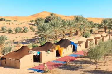 Camp in desert clipart