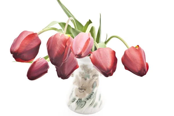 stock image Tulips in vase