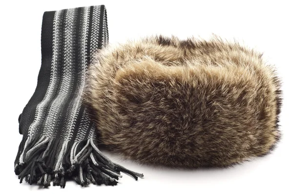 冬の毛皮の帽子とスカーフ ストック画像