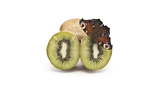 Kiwi and the butterfly — Stock Photo, Image