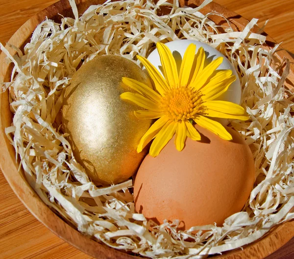 stock image Easter nest