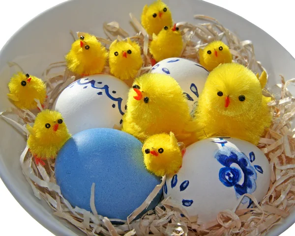Nido pasquale con uova e polli. Isolato . — Foto Stock