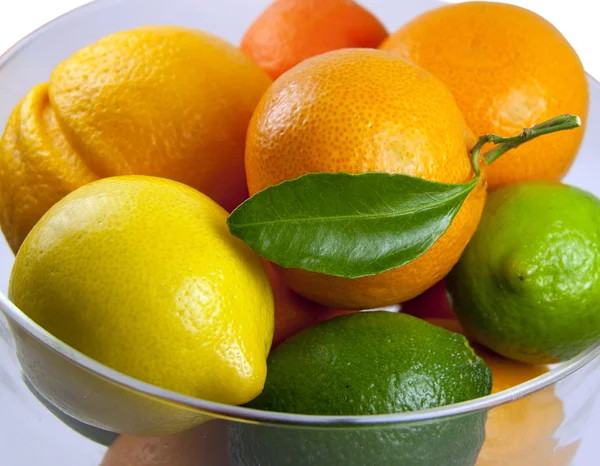 stock image Citrus fruits