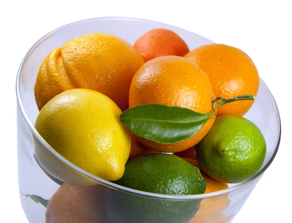 stock image Citrus fruits