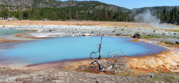 Yellowstone. Black Opal Pool. Panorama. — Stock Photo, Image