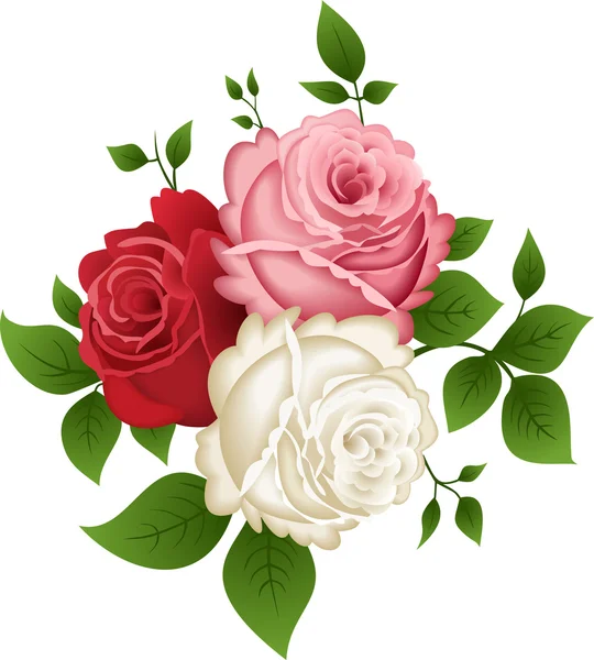 Rosas vectoriales — Archivo Imágenes Vectoriales