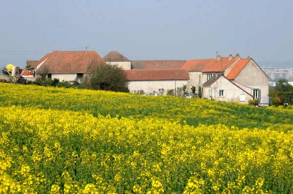Ile de france, en gammal gård i ecquevilly nära les mureaux — Stockfoto