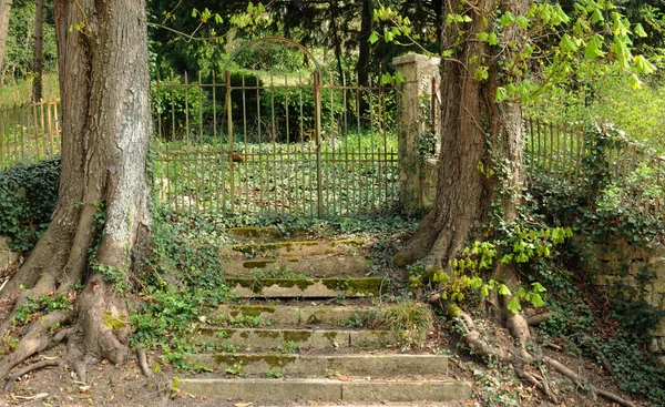 Francia, una vieja puerta en Yveline — Foto de Stock