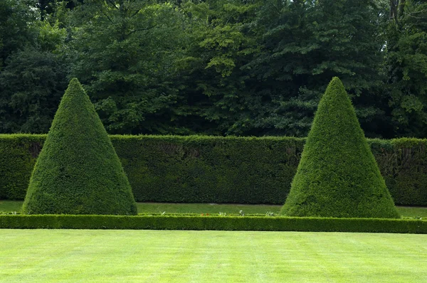 法国，正式的宅邸的城堡花园 — 图库照片
