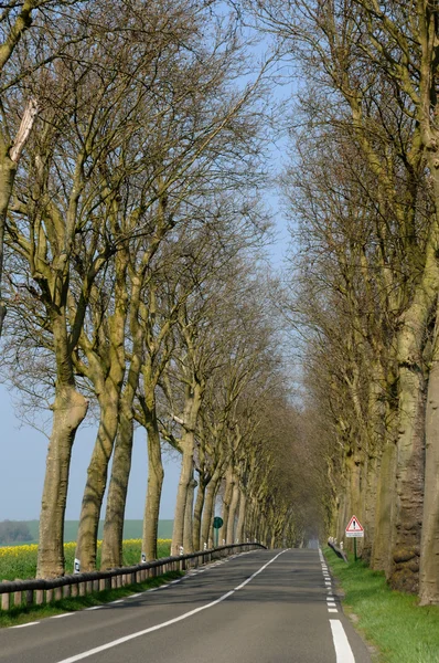 Загородная дорога в Валь-д 'Уазе — стоковое фото