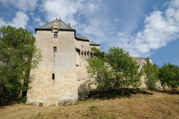 Das Schloss von vayres in gironde — Stockfoto