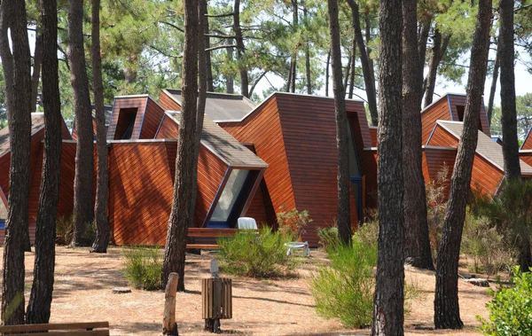 stock image France, modern house in Cap Ferret