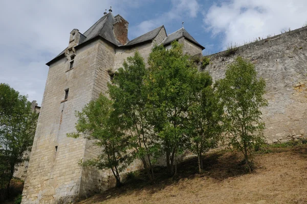 Vayres 在吉伦特省的城堡 — 图库照片