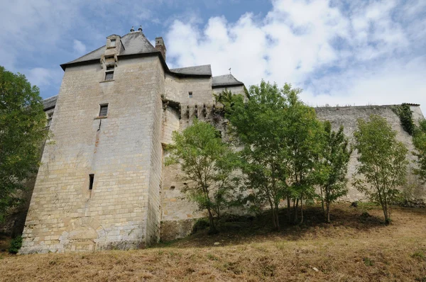 El castillo de Vayres en Gironda — Foto de Stock