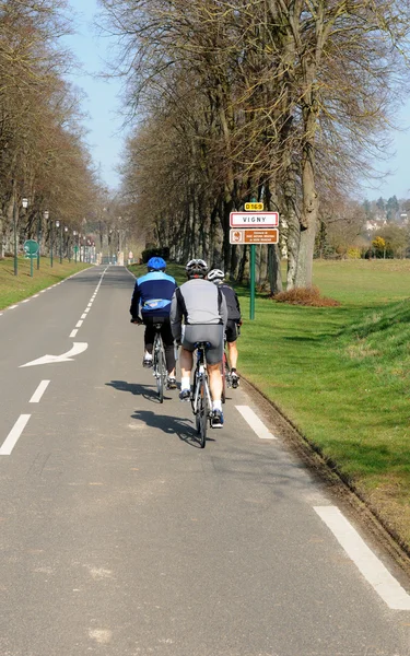 Cyklister på landevej i Val d Oise - Stock-foto