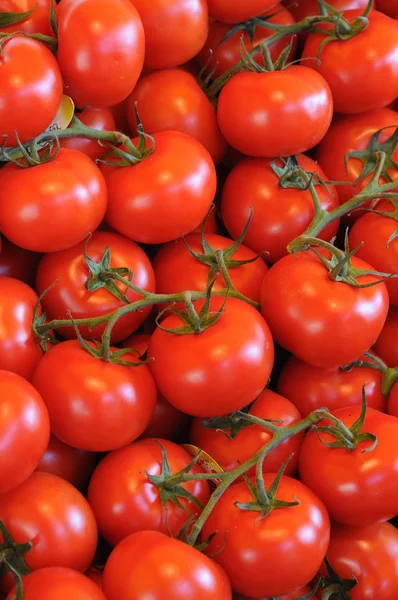 stock image Tomato