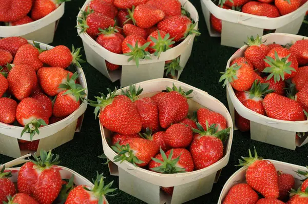 stock image Strawberry