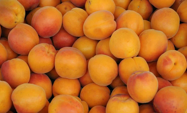 stock image Apricot