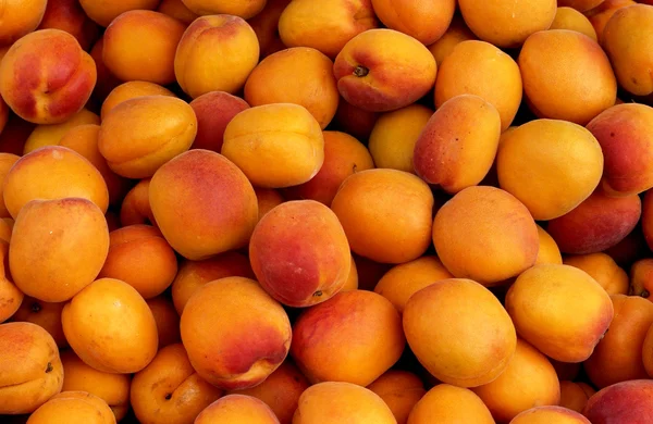 stock image Apricot