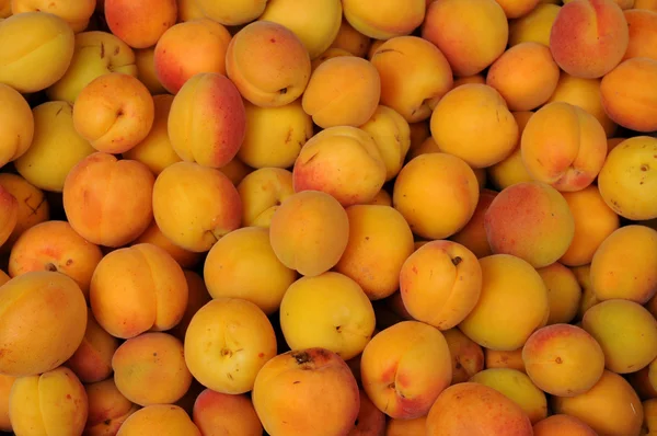 stock image Apricot