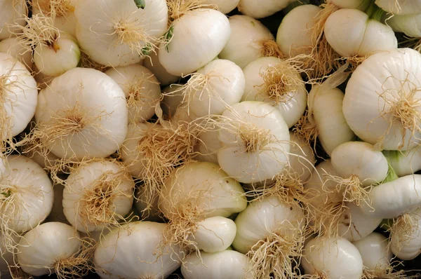 White onions — Stock Photo, Image