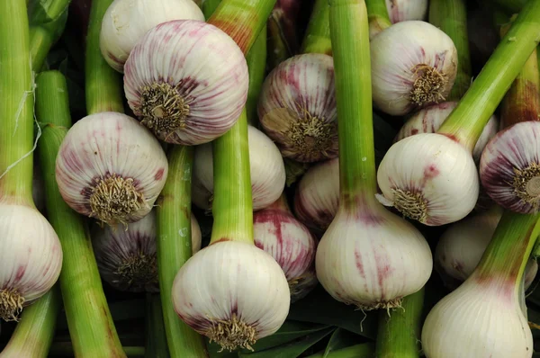 White onions — Stock Photo, Image