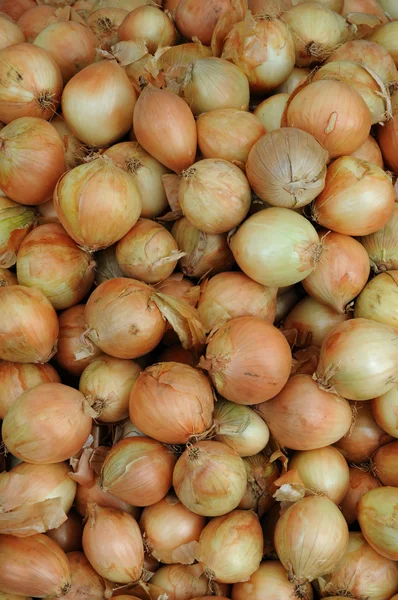 stock image Onions