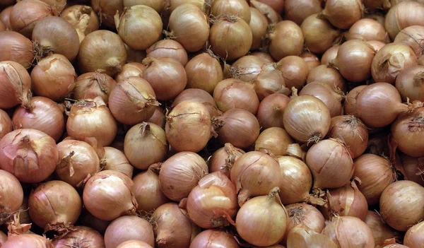 Stall of onions — Stock Photo, Image
