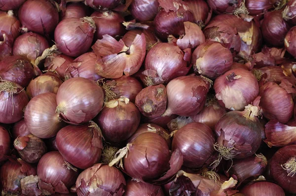 stock image Onions