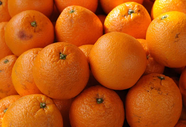 stock image Orange