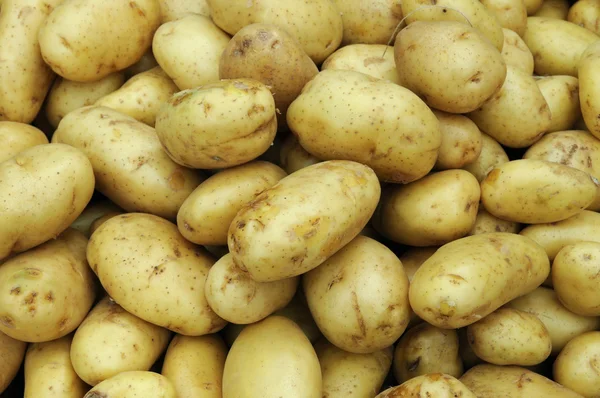 stock image Potato