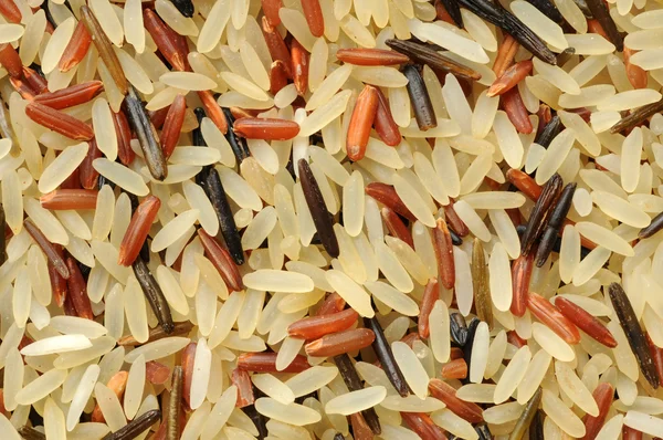 Close up of Rice — Stock Photo, Image