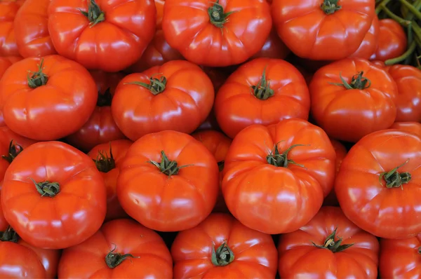 stock image Tomato