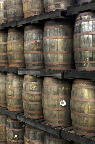 Rum barrels — Stock Photo, Image