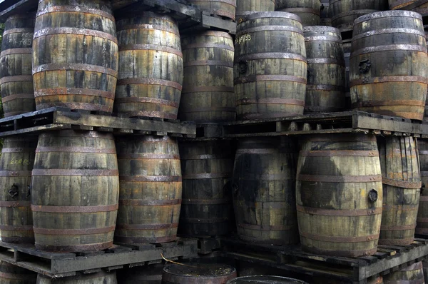 Barris de rum — Fotografia de Stock