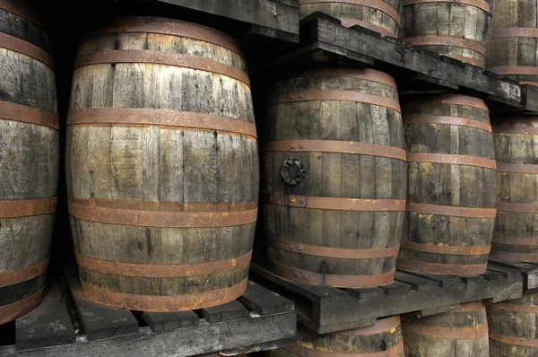 Rum barrels — Stock Photo, Image