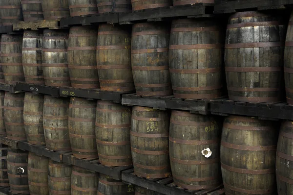 Barris de rum — Fotografia de Stock
