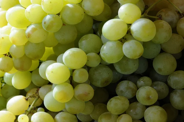 stock image Close up of Grape