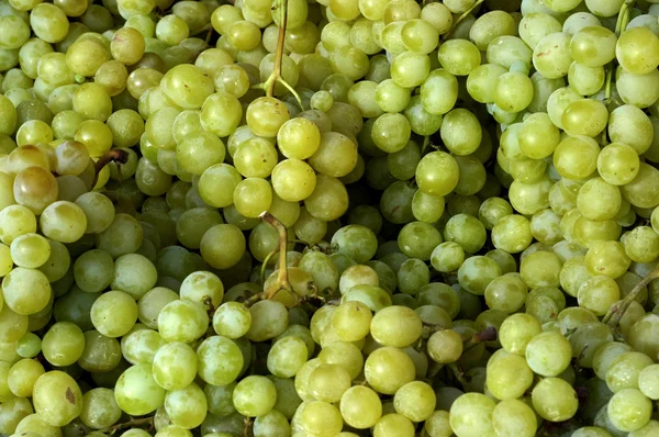 stock image Close up of Grape