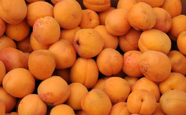 stock image Apricot